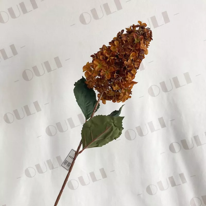 உலர்ந்த தொடு பகோடா பட்டு ஹைட்ரேஞ்சா