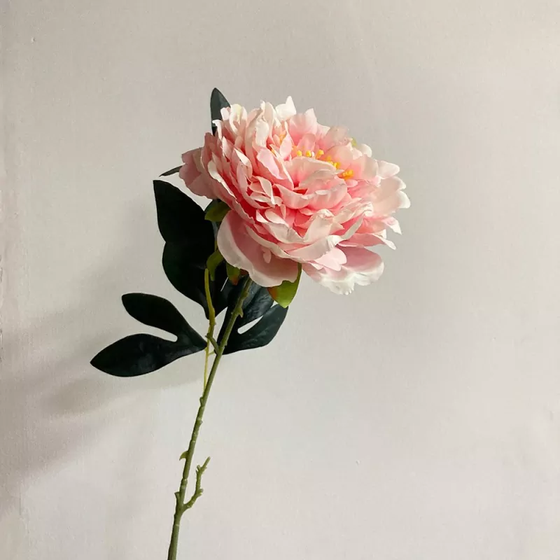 நீண்ட ஒற்றை தண்டு போலி பியோனி