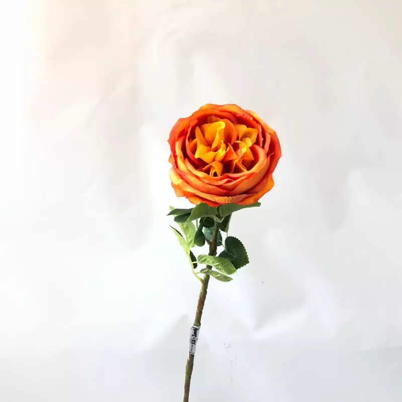 வெள்ளை போலி பியோனி பூக்கள்